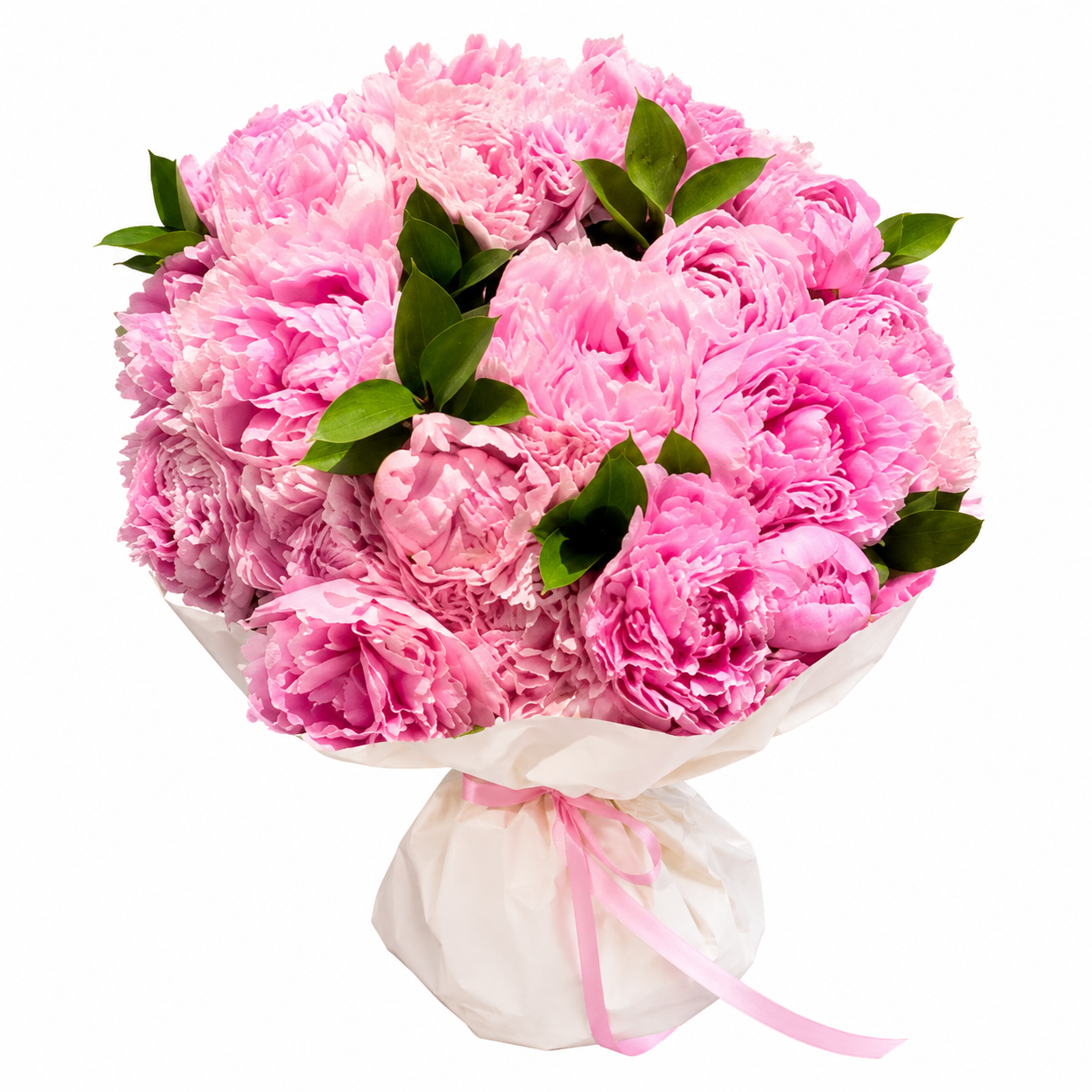 Dia Flowers